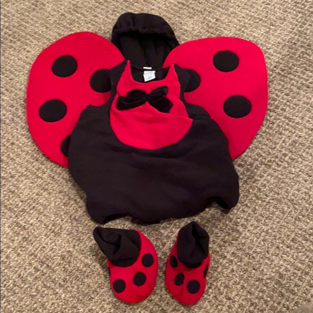 Cutest Ladybug Costume